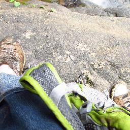 tracyannemarie's profile picture. 