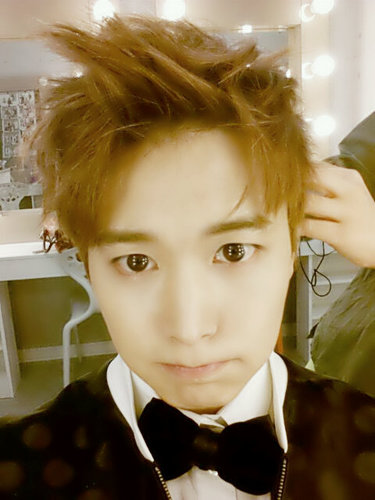 ทุกคนอยู่ในหัวใจผม fam : _SJ13BOtH I'm bot not real.REAL:@imSMl