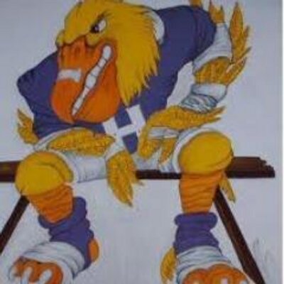HomerFootball's profile image