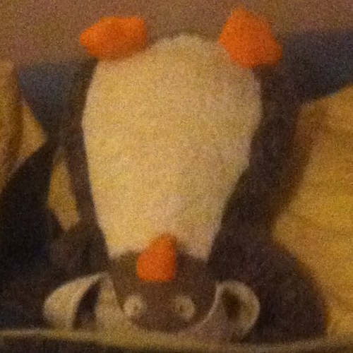 teri_harkless's profile picture. 