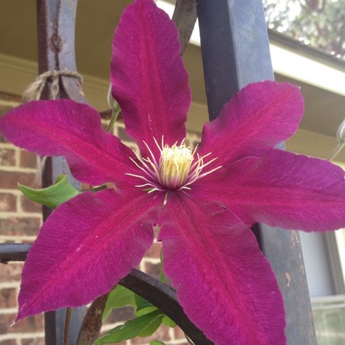 MeredithM675's profile picture. 