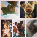 kevin wulff - @kwulff37 - Twitter