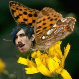 TrenchingFez's profile picture. I spend most of my life on Tumblr. 
Ian Tweeted - 5/8/2012
Oliver Phelps Tweeted - 12/15/2011