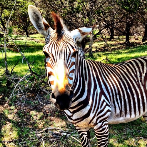 WoodAndreabryce's profile picture. 