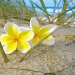 Lend yourself to others, but give yourself to yourself.-Michel de Montaigne