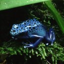 Robert Urbanski - @urbanskirob - Twitter