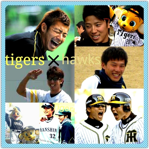 baseball.ﾎｰｸｽ.ﾀｲｶﾞｰｽ.→21岩嵜翔♡1鳥谷敬♡49伊藤祐介♡32新井良太♡7糸井嘉男♡37福田秀平♡41浅尾拓也♡ 7長野久義♡18前田健太♡CH会員