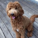 Marshall Rivers - @MarshallRivers - Twitter