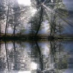 Our attitude toward life determines life's attitude towards us.-Earl Nightingale