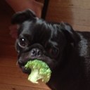 Heath Barrett - @heathjames - Twitter