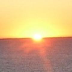 VedamanRu's profile picture. 