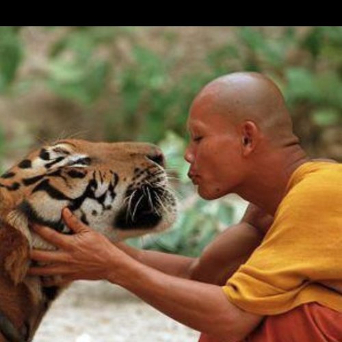 karl4357875's profile picture. The College of life