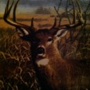 Eric Justus - @justus_eric - Twitter