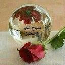 الهاوي (@0502802519) Twitter