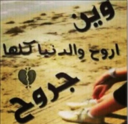 فقط لي بنات سكسي 
ارحبو يا بنات سكسي
لي تبي فلوس  كلبه فلوس تجيني في الخاص
او تجيني في برامج كيك ترسل لي صورته  كل صوره بطاقه ١٠ سوا و غيرها انتظارك