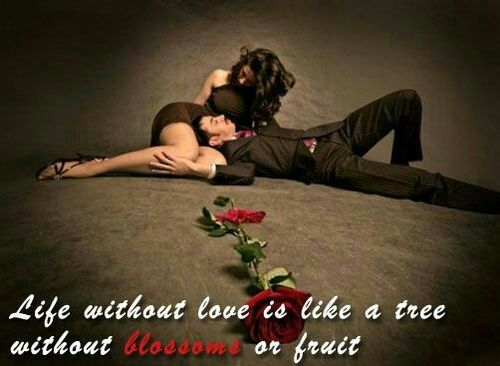 kajal_sangani's profile picture. 