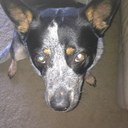 bryan farley - @brysie1990 - Twitter