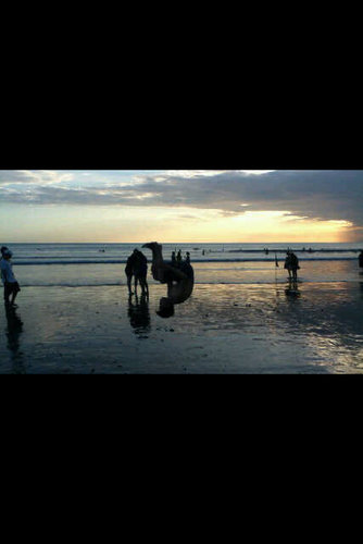 joshualexanderr's profile picture. We're all different, unique so don't be a stereotype of you dance with the capacity of your body and work hard you can be perfect in your own way-bboy Lilou