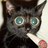 Pomalo91's profile image