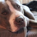 Lori Miranda - @Lorifloors - Twitter