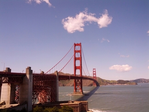 Tennis, Cricket,Hiking, Movies,IDM