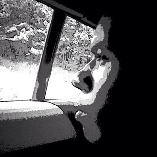 aKa_Vek973's profile picture. New Jerseys Own Masterpiece