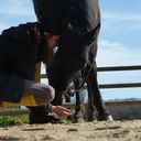 marie philip - @Midnightetpolux - Twitter