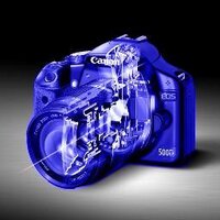 Lynne (@lynnechm) 's Twitter Profile