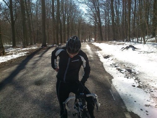 nilssonschon's profile picture. 