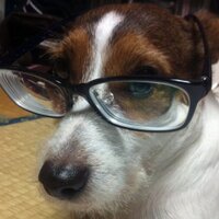 ゆーわ (@yuko_oreo) 's Twitter Profile Photo ゆーわ (@yuko_oreo) 's Twitter Profile Photo