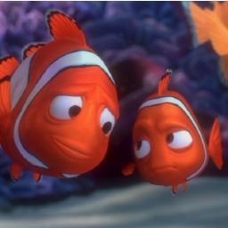 MarcRrat's profile picture. Recentment pares