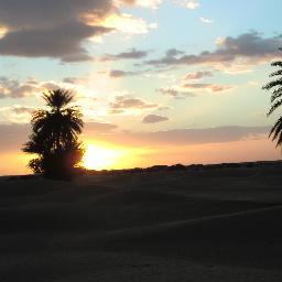 maria_clotet's profile picture. Biòloga ambiental i manresana