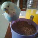 melanie davey  - @davey_melanie - Twitter