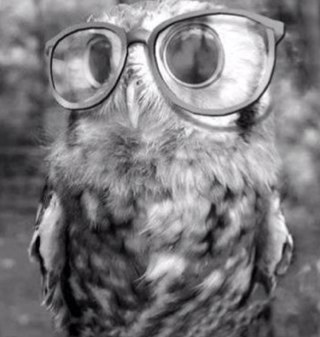 fatooma123f's profile picture. 