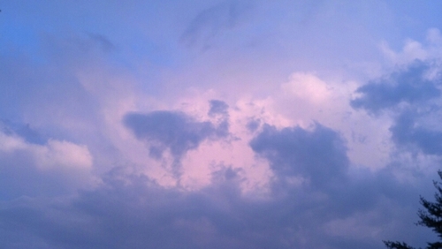 blu0805's profile picture. 