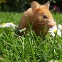 sarah louise moss - @sarahfudgemoss - Twitter