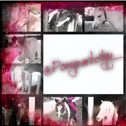 I ♥ Ponyparkcity, jij ook?? Volg ons dan voor tweets over ppc en misschien krijg je een #fb!!