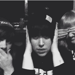 seagullgang's profile picture. 