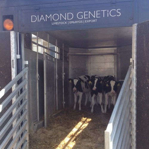 jmaddrell's profile picture. 