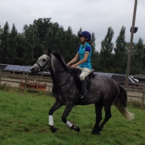 mariannegibson7's profile picture. 