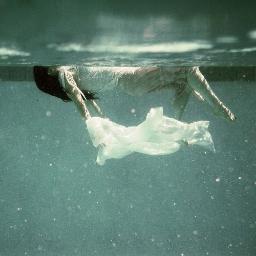 mellines's profile picture. 