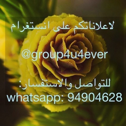 group4u4ever Profile Picture