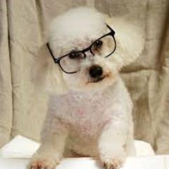 JWDonovan903's profile picture. 