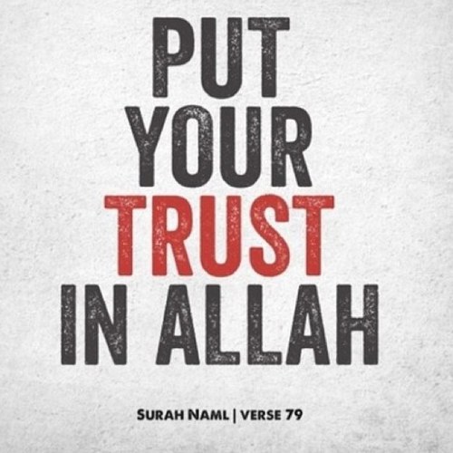 Ayesha__Ahmed's profile picture. 