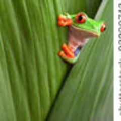 n_walker8's profile picture. 