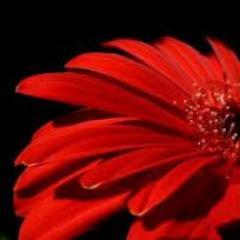 BurkeR3nee's profile picture. God never sends us more than we can handle.-Mother Theresa