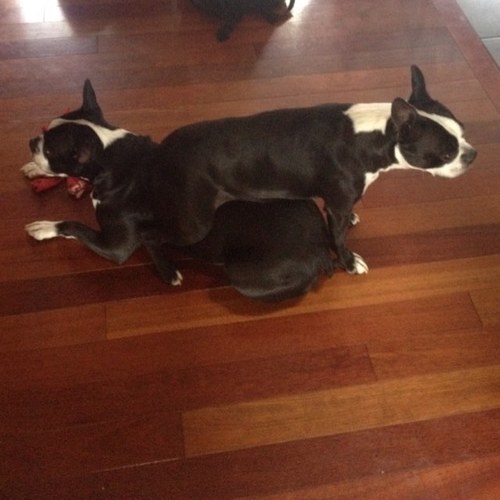 knospmas's profile picture. 