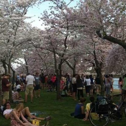 Dr_FAlsulaiman's profile picture. استودﻋك يَ الله نفسي ﻣن ذل الحياة ۈكبرياء النفس ۈمن ﻋين حاسد ۈغدر ﺣبيب ۈقلب حاقد ۈصداقة ﻣنافقَ ♡