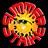 Summerstrike1's profile image