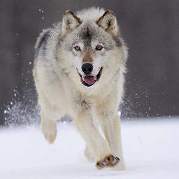 GiorgosDig's profile picture. 